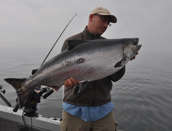 Chinook King Salmon Dutchanglers