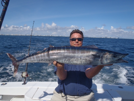 De snelste vis van de deep-reefs van Miami, een 140 Wahoo
