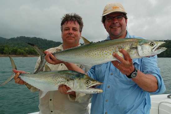 Double catch sierra mackerel