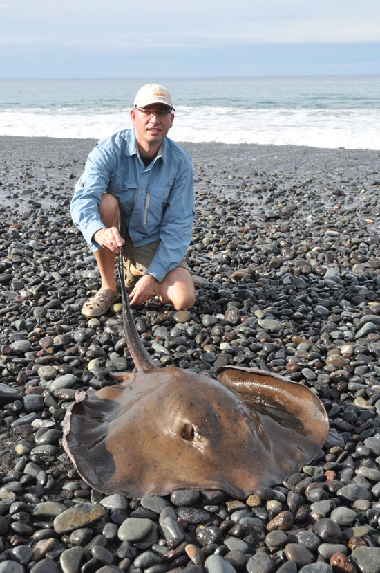 stingay canarische eilanden