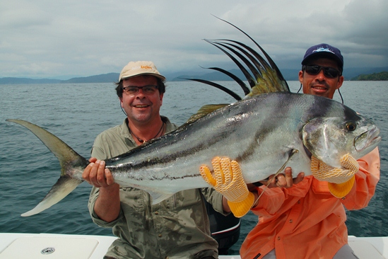 Roosterfish!