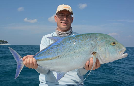 Bluefin Trevally India