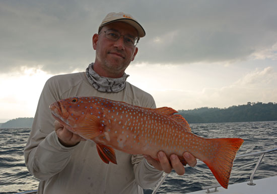 Coral Trout India