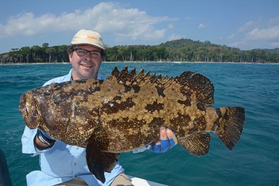 grouper india
