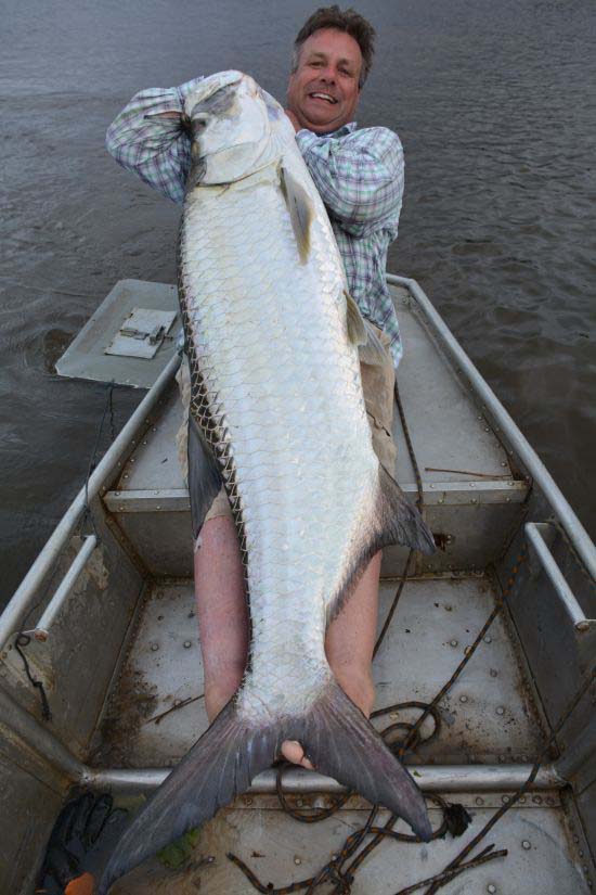 De tweede vis – wederom tarpon – almost too big to handle