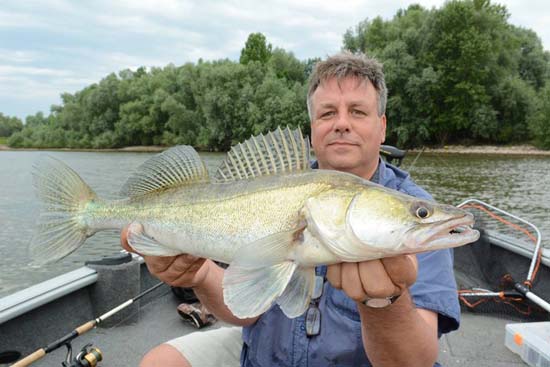 Heerlijke vissessie met Michel op de rivier – werpend op snoekbaars