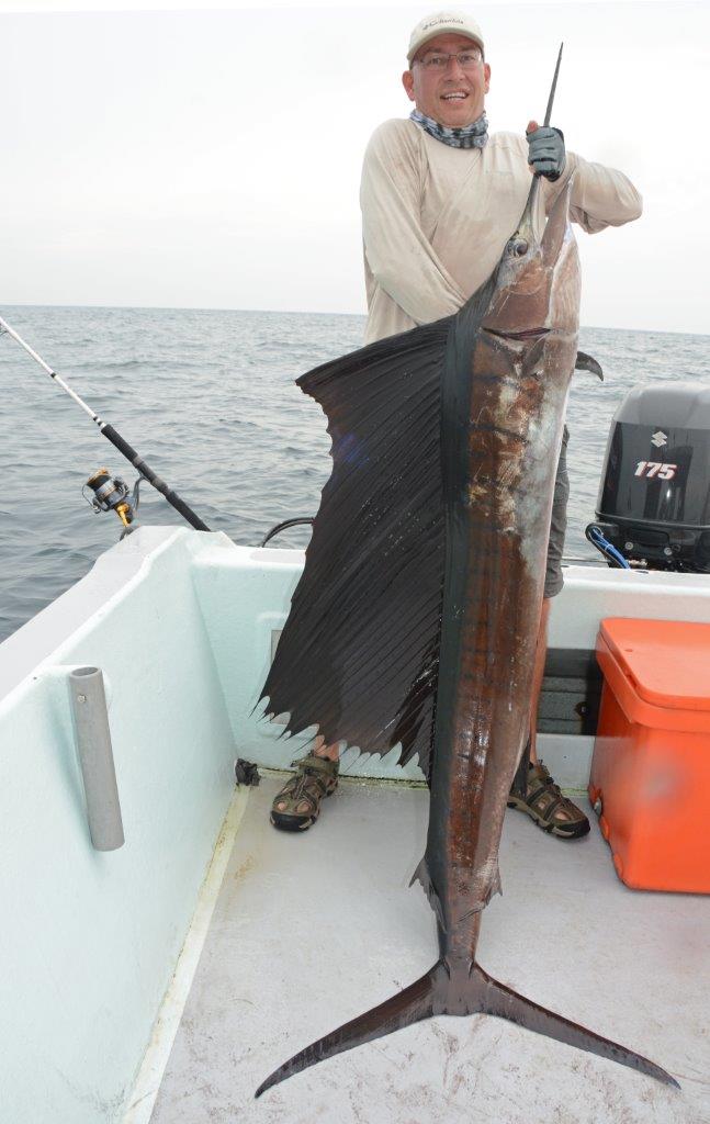 sailfish Shimano Monster STC