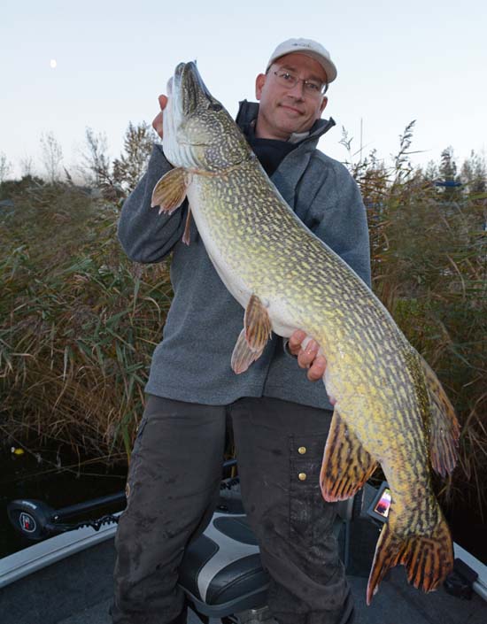 snoek dood aas zandgat