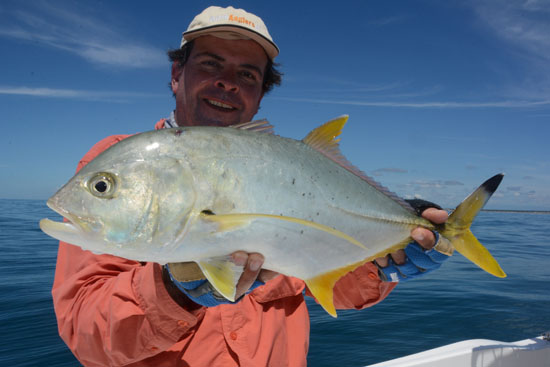 crevalle