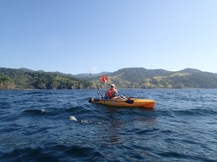 Roosterfish fight from kayak