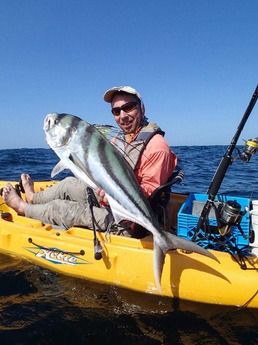 Roosterfish popper panama