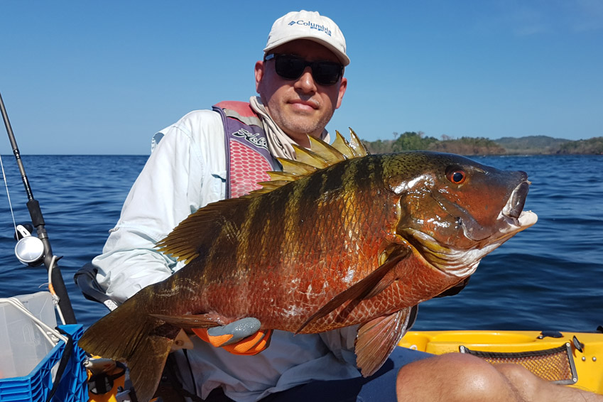 Rocksnapper Panama kayak adventure