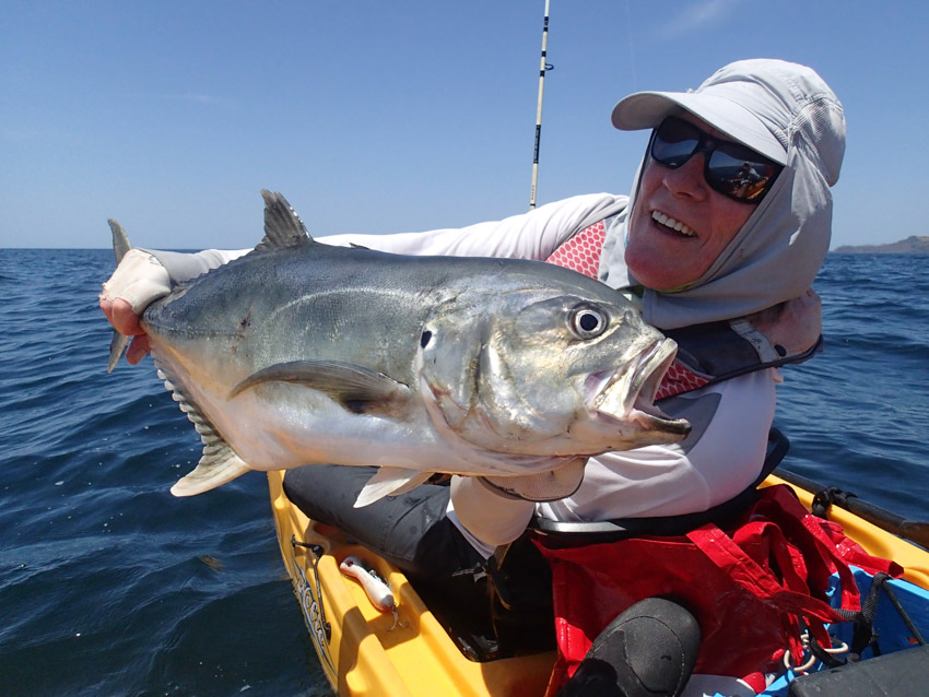 Jack Crevalle Panama