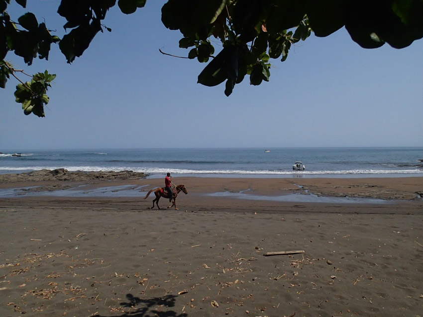 beach panama fishing