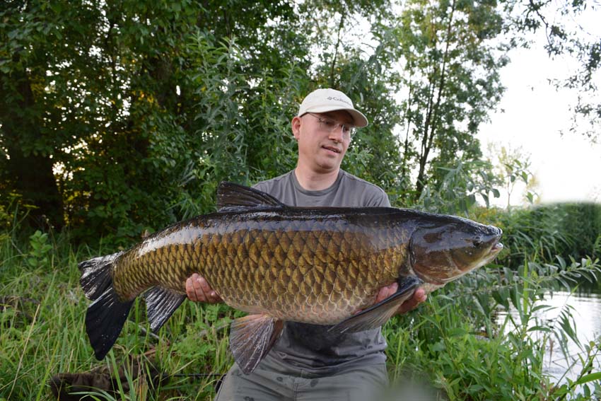 graskarper met zelfontspanner